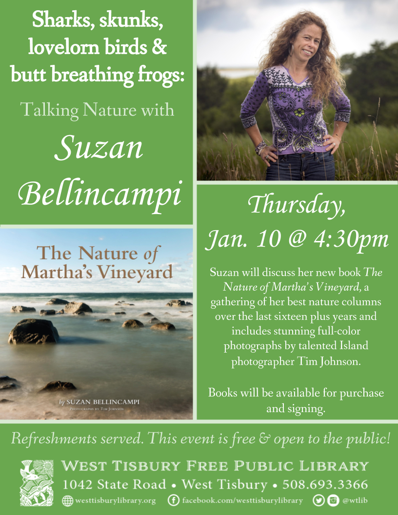 “Sharks, skunks, lovelorn birds, and butt breathing frogs” Talking Nature with Suzan Bellincampi