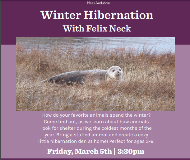 Winter Hibernation with Felix Neck
