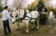 A spooky Halloween hayride takes children to the town cemetery ad Dead Man's Curve then safely back to the library.