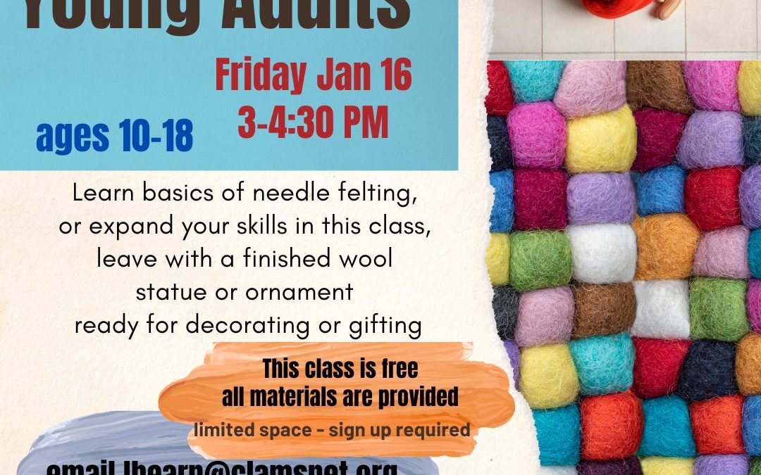 Needle Felting for Young Adults – ages 10-18 – sign-up is required