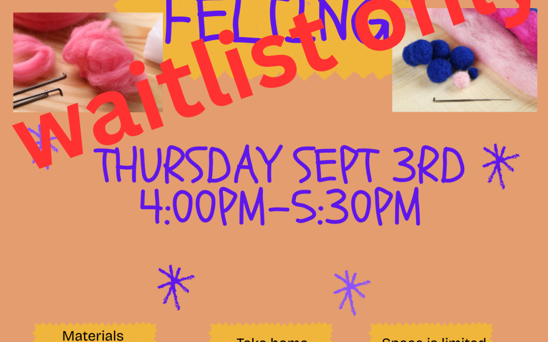 Needle Felting for beginners ages 12-adult