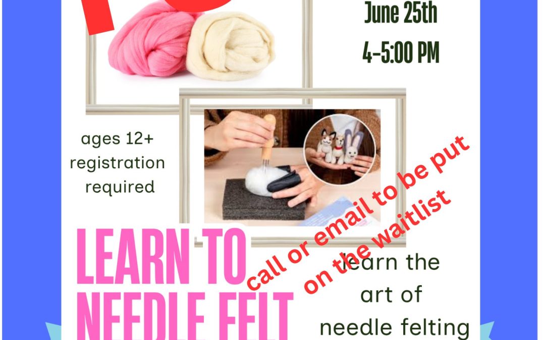 Needle Felting for beginners ages 12+